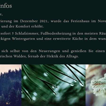Ferienhaus Bayerischer Wald 雷根 外观 照片