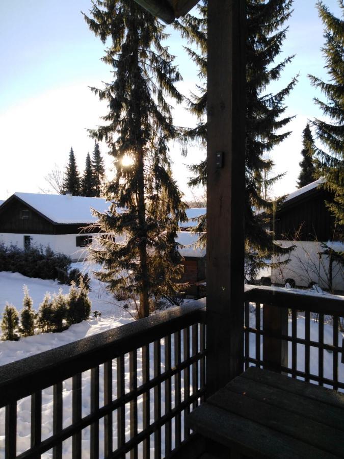 Ferienhaus Bayerischer Wald 雷根 外观 照片