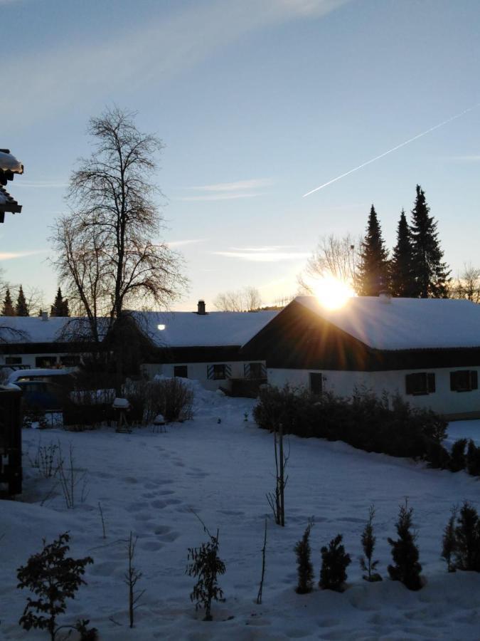 Ferienhaus Bayerischer Wald 雷根 外观 照片