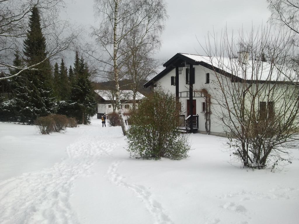 Ferienhaus Bayerischer Wald 雷根 客房 照片